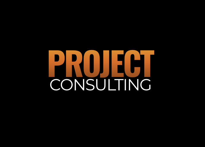 Project Consulting